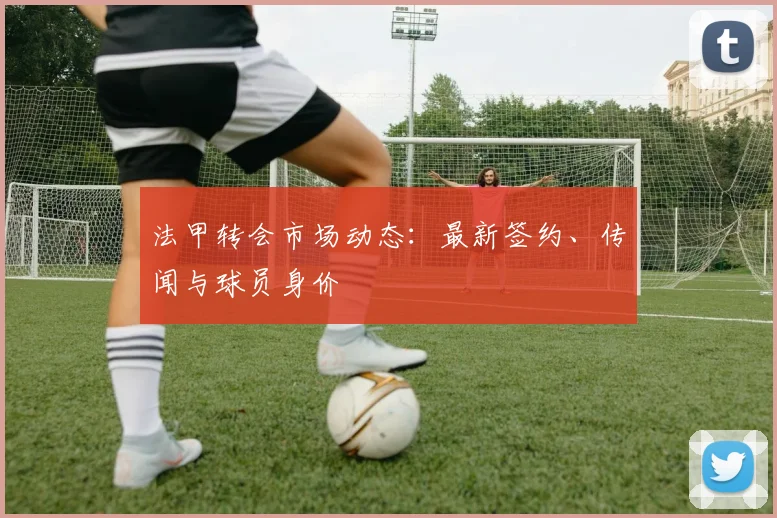 法甲转会市场动态:最新签约、传闻与球员身价