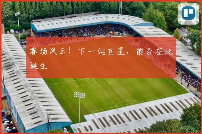 赛场风云!下一站巨星,能否在此诞生
